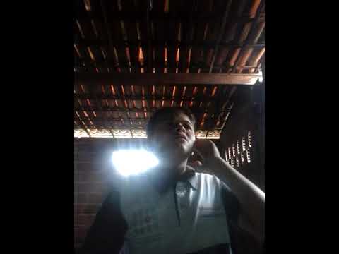 transparencia (Alisson e Neide)