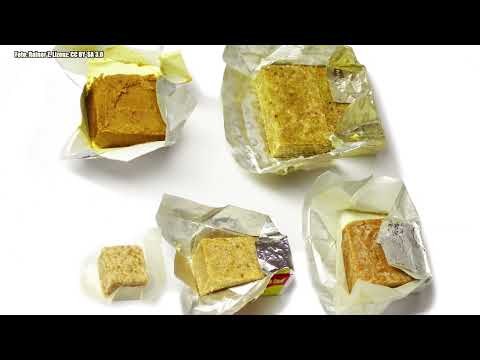 Pollmer's Meal: The Soup Cubes Have Fallen - Glutamate Part 2 (Subtitled)