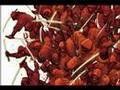Ninja Gaiden Shadow Stage 3 Theme Music