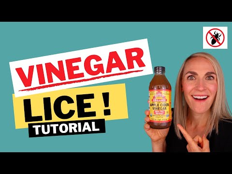 Apple Cider Vinegar For Lice and Nits Tutorial
