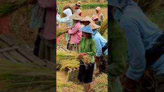 Download lagu kata kata bijak bahasa Jawa tentang kehidupan #katakatabijak mp3 Download lagu kata kata bijak bahasa Jawa tentang kehidupan #katakatabijak mp3