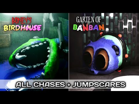 GARTEN OF BANBAN vs BONEY'S BIRDHOUSE - ALL CHASES and JUMPSCARES + BOSS FIGHTS