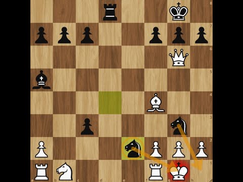 Historical Chess Game| Napoleon Marache vs Paul Morphy| #chess #chessgame #paulmorphy