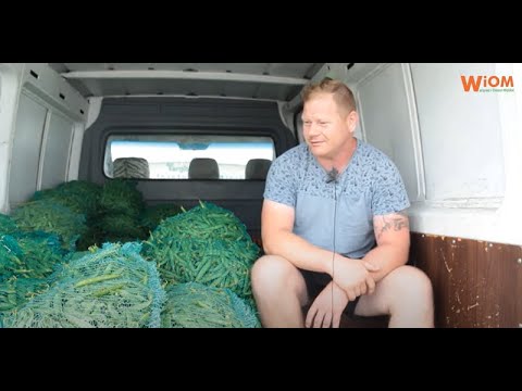 Bronisze 14.07.2021: ceny warzyw poleciały ostro w dół