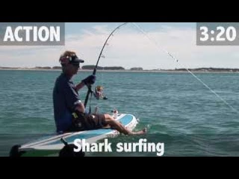 BIG SHARK FROM A SURFBOARD!