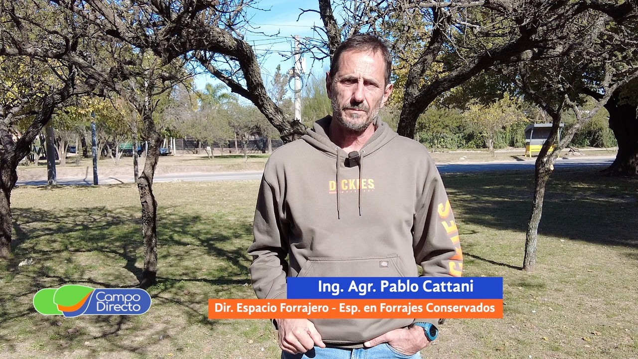 Campo Directo | Claves para la confección de silos ultra energéticos