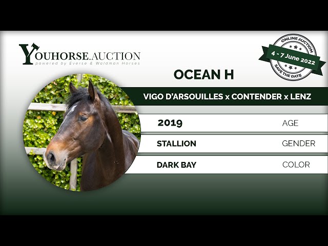 Ocean H Home impression