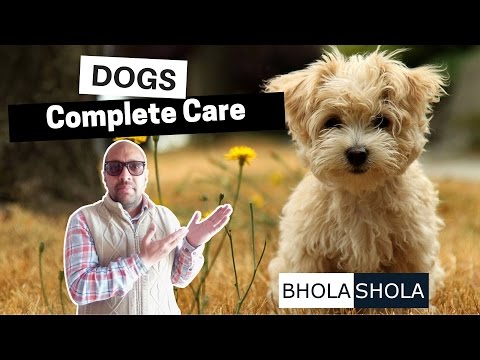 Bhola Shola Video