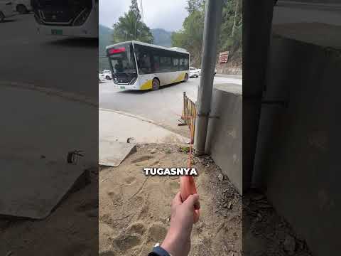 PEKERJAAN PALING MUDAH DI DUNIA‼️ #aksi #unik #fakta #pekerjaan #kerja #mudah #gampang #simple