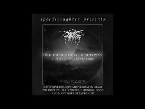 Arrogant Destruktor - Too Old Too Cold (Darkthrone Cover) 2014
