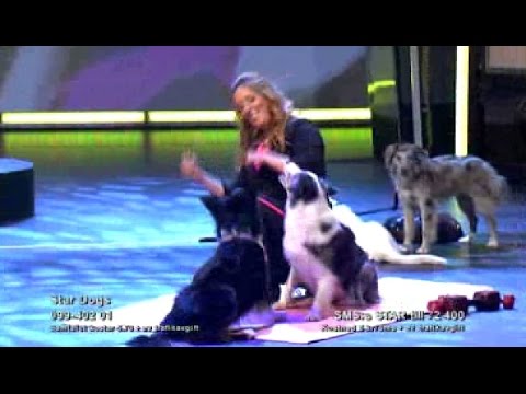 Semifinal: Stardogs - Talang (TV4)