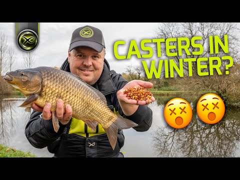Be POSITIVE in Winter! | Jamie Hughes' winter feeding tactic!