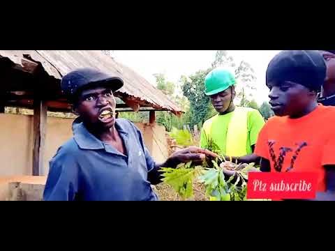 Your first time to eat miraa( MARIJUANA /JABAA)🤣🤣🤣🤣 watch it😂