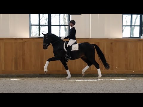 Follow Up Hengstpräsentation 2022