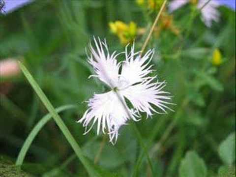 L'Altopiano dei 7 Comuni