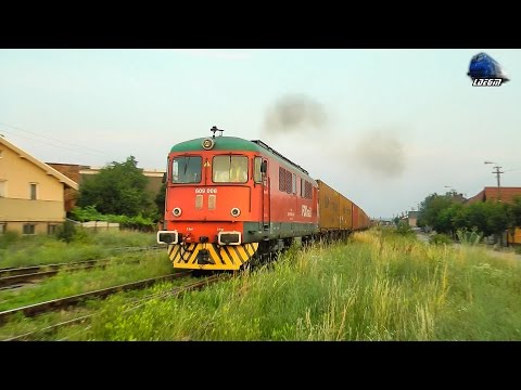 060-DA 609 008-1 FOX Rail & Mecanici Super Engineers pe Apus/on Sunset in Oradea - 22 June 2016