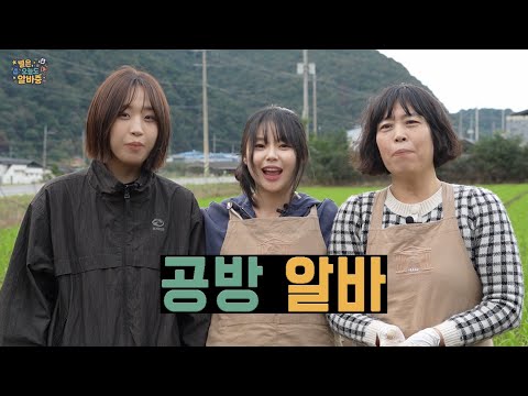 [별은, 오늘도 알바중✨] EP.4 볼빨간공방에서 만나는 향기로운 조향체험