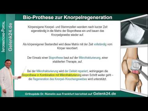 Inländerbehandlung für Schmerzen im unteren Rücken und Steißbein Knöchelschiene für Preis