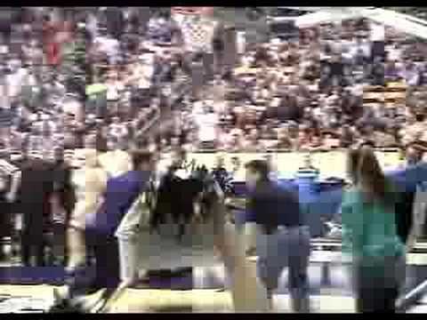 Mascot Rollerblade Dunk