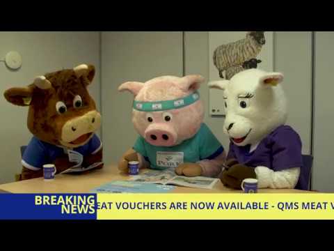 Mascot Mayhem! - MVS Launch