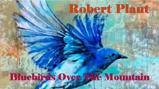 Robert Plant - Bluebirds Over the Mountain