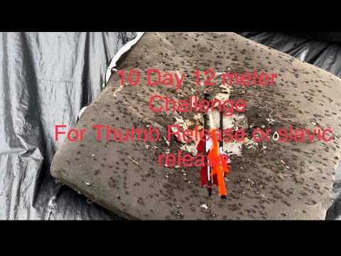 10 Day 12 meter Accuracy Challenge for Thumb Release or Slavic release