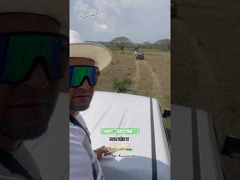 Visitando la Ganadería vista hermosa de Juanchi Guerrero en Arjona Bolívar 2026 🇨🇴📷 #arjona #toro