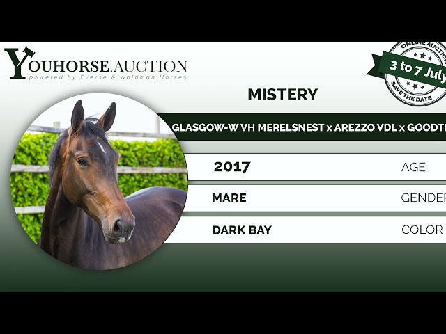 Mistery under the saddle