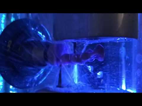 CEREC MCXL Slo Mo Milling short compilation