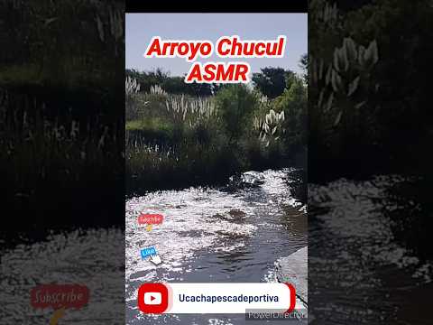 Arroyo Chucul #pescar #pesca #viral #asmr #asmrsounds #cordoba #ucacha #shortvideo #pescar