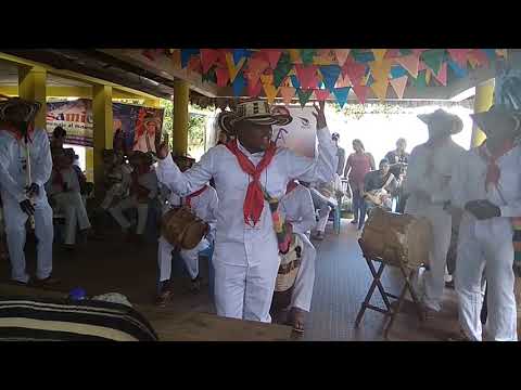 Homenaje a los Gaiteros: Canción Inédita de Alma de Tambó (Soplaviento, Bolívar) 🥁🎶