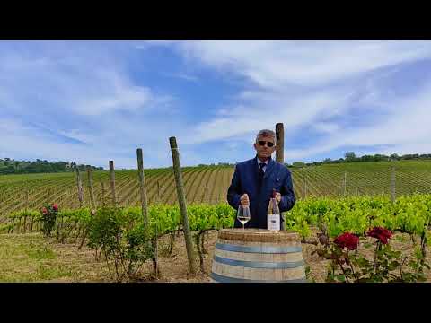 CLIP 2021 CRU LACRIMAROSA IRPINIA ROSATO DOC ITA