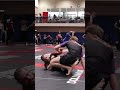 Snap, Crackle, Pop #jiujitsu #rolling #mma #fight #nogi #competition