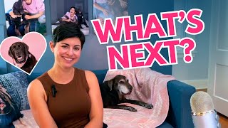 Life After Lucy: Reconnecting with the Mission of Wear Wag Repeat (Ep. 351)