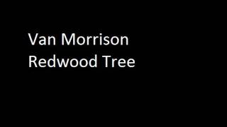 Van Morrison - Redwood Tree