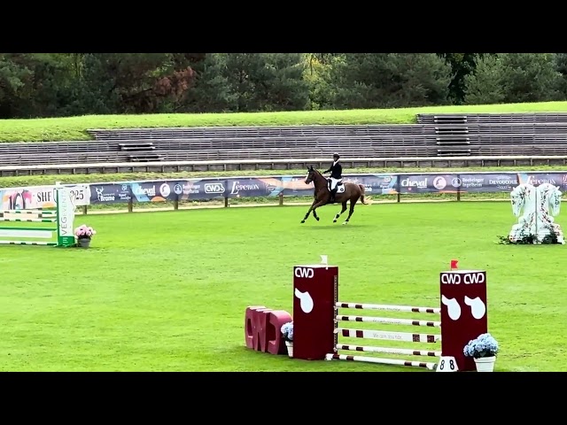 Top cheval Amateur CSI* - 6 ans