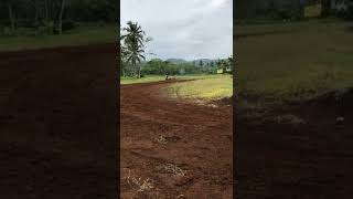 Download lagu RizkyHK geberr ninja rasaa YZ 😱 #shorts #grasstrack #gtx #balapmotor #rizkihk105 mp3 Download lagu RizkyHK geberr ninja rasaa YZ 😱 #shorts #grasstrack #gtx #balapmotor #rizkihk105 mp3
