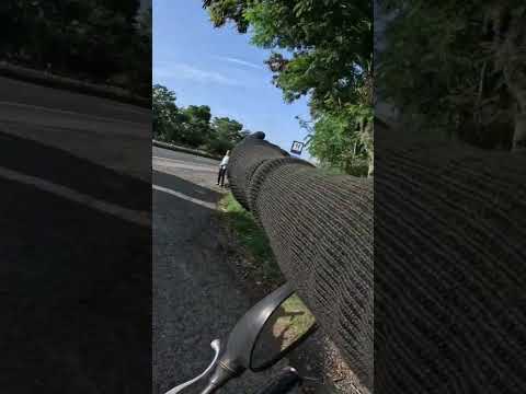 Y NOS FUIMOS DE SAN JOSÉ, Corregimiento de san Pedro valle del cauca