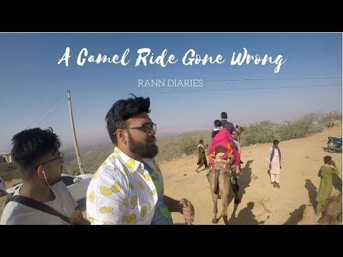 Rann Diaries - Kaalo Dunger and a camel ride gone wrong