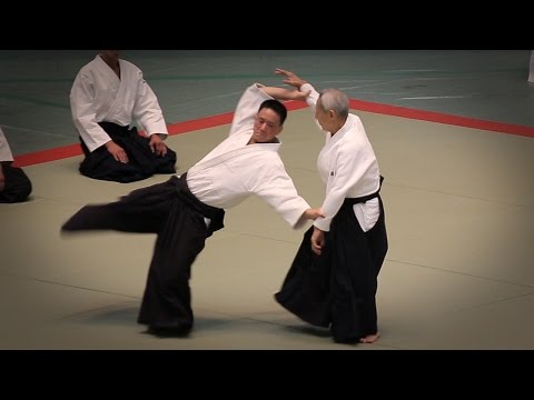 Aikido - Endo Seishiro Shihan  - 53rd All Japan Aikido Demonstration (2015)