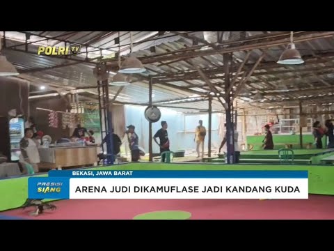 POLDA METRO JAYA GEREBEK LOKASI SABUNG AYAM DI BEKASI