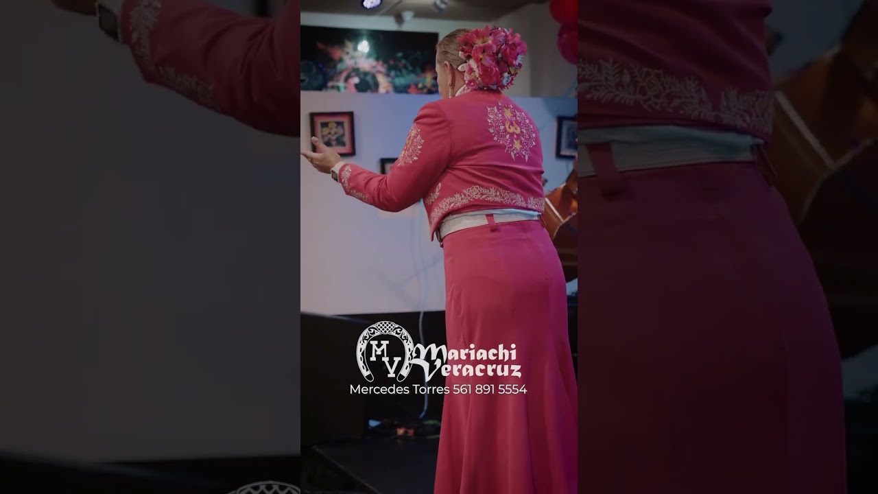 Promotional video thumbnail 4 for Mariachi Veracruz