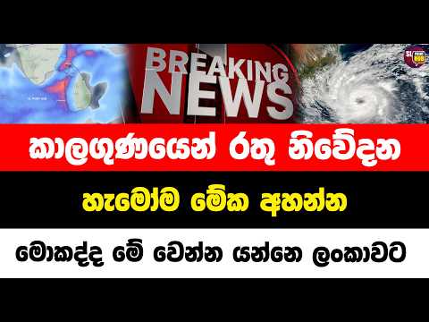මොකද්ද මේ වෙන්න යන්නෙ ලංකාවට | Sl point hub | #slpointhub #srilanka #news