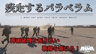 【Arma3】疾走するパラベラム第42戦場【coop】