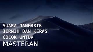 Download lagu Suara Jangkrik Jernih Keras | Cocok untuk Masteran mp3 Download lagu Suara Jangkrik Jernih Keras | Cocok untuk Masteran mp3
