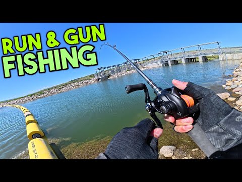 Fishing the DOG DAYS of Saskatchewan Summer (Swimbait Pike Fishing)