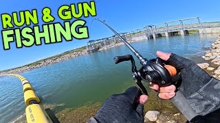 Fishing the DOG DAYS of Saskatchewan Summer (Swimbait Pike Fishing)