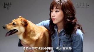 林憶蓮Sandy Lam | ELLE LOVES DOG！無分狗隻品種貴賤 | ELLE HK