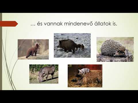 erekció 59 év és megfogta a péniszemet