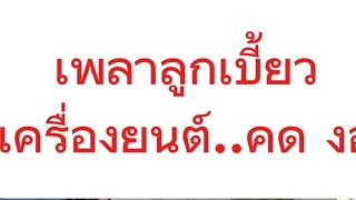 เพลาลูกเบี้ยวEp26เพลาลูกเบี้ยว  อีซูซุ ดีแมก